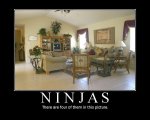 2108200903799ninjasviathefunniestinfsc8.jpg