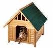 dog house.jpg