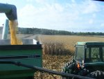 Harvest2 9-25-09.jpg