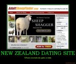 new-zealand-dating-site-sheep-demotivational-poster-1239068622.jpg