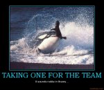 taking-one-for-the-team-demotivational-poster-1225992544.jpg