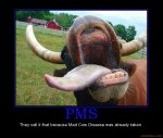 pms-mad-cow-demotivational-poster-1252250577.jpg