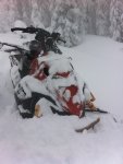 revy dec 29-3.JPG