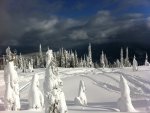 revy dec 29-4.JPG