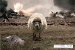 GoogledBattlesheepandwasremindedthatGoogleknowsmebetterthanIknowme-97914.jpg