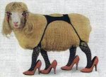 Sheep-2.jpg