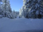 Big bear 2010 007.jpg