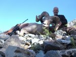 salmon river and sheep hunt 277 [1600x1200].JPG