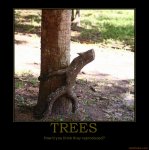 motivational 2-13-10 tree reproduce.jpg